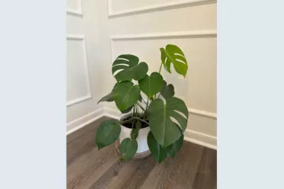 4602 Jamaica Drive, Sugar Land, TX 77479 - Photo 43