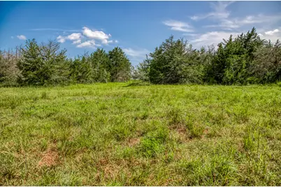 1544 Bluebonnet Ridge Dr, Chappell Hill, TX 77426 - Photo 5