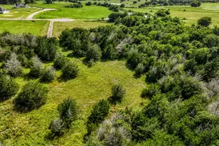 1544 Bluebonnet Ridge Dr, Chappell Hill, TX 77426 - Photo 1