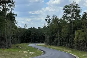 15707 Grey Hawk Ln, Willis, TX 77378 - Photo 15