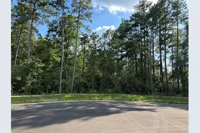 15707 Grey Hawk Lane, Willis, TX 77378 - Photo 5