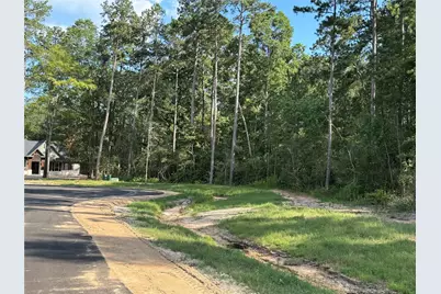 15707 Grey Hawk Lane, Willis, TX 77378 - Photo 7