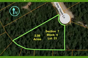 15707 Grey Hawk Ln, Willis, TX 77378 - Photo 1