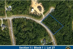 10711 Ruger Rd, Willis, TX 77378 - Photo 1