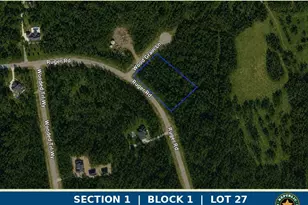 10711 Ruger Rd, Willis, TX 77378 - Photo 1