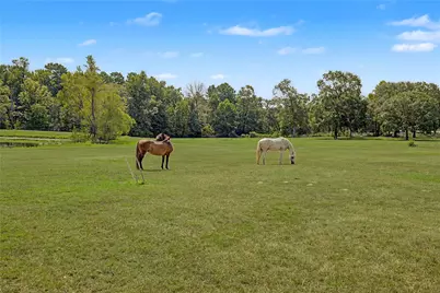 8988 County Line Road, Willis, TX 77378 - Photo 27