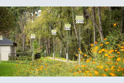 338 Prairie Warbler Street, Magnolia, TX 77354 - Photo 19