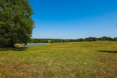Tract #8 Cr 305 Road, Navasota, TX 77868 - Photo 15