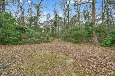 15630 Ben Wiggins Road, Conroe, TX 77303 - Photo 11