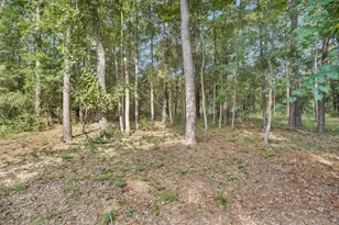 15558 Robert's Ct, Montgomery, TX 77316 - Photo 45