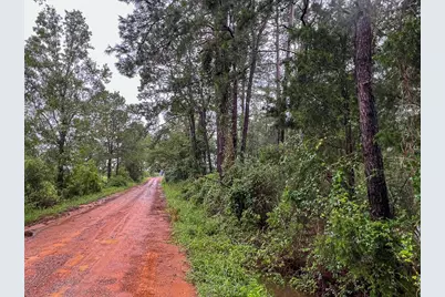 11 Fm 1276, Livingston, TX 77351 - Photo 9