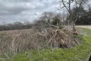 283 County Rd, Kosse, TX 76653 - Photo 5