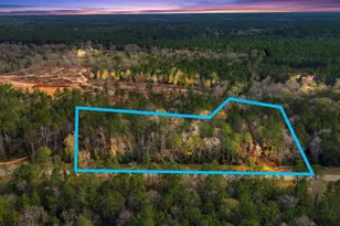 10733 Ruger Rd, Willis, TX 77378 - Photo 11