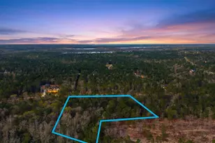 10733 Ruger Rd, Willis, TX 77378 - Photo 15