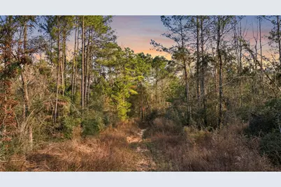 10733 Ruger Road, Willis, TX 77378 - Photo 3