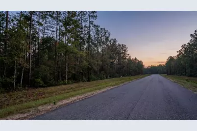 10733 Ruger Road, Willis, TX 77378 - Photo 5