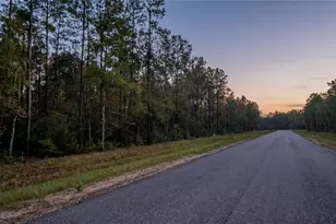 10733 Ruger Rd, Willis, TX 77378 - Photo 5