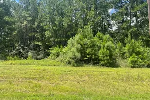 717 Lonestar Rd, Huntsville, TX 77340 - Photo 1