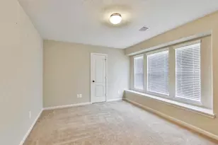 28807 Mayes Bluff Dr, Katy, TX 77494 - Photo 19