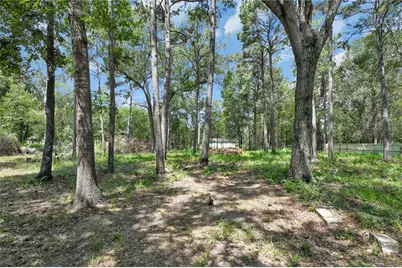 211 Walter Drive, Cleveland, TX 77328 - Photo 19