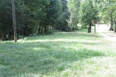 10.24 Acres Townley Ranch Road, Dodge, TX 77334 - Photo 17