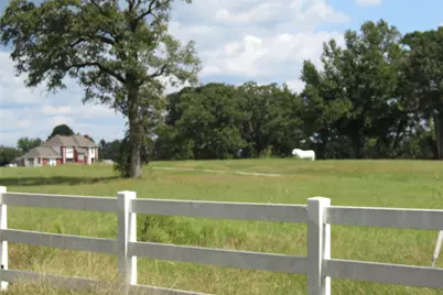 10.24 Acres Townley Ranch Road, Dodge, TX 77334 - Photo 11