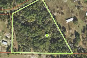 10 24 Acres Townley Ranch Rd, Dodge, TX 77334 - Photo 1