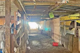 12623 Ann Louise Rd, Houston, TX 77086 - Photo 3