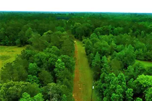 2401 W Geronimo Trail, Cleveland, TX 77328 - Photo 9