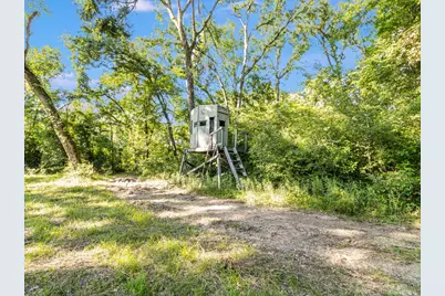 143 Private Road 440, Buffalo, TX 75831 - Photo 33