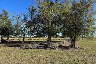 Lot 13 Mesquite Rd, Wallis, TX 77485 - Photo 1