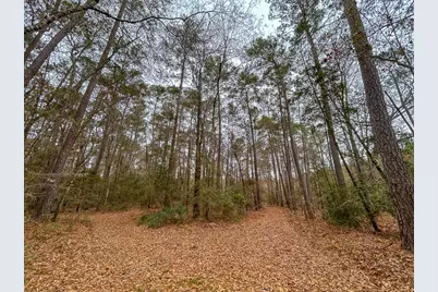 5259 Fm 946, Coldspring, TX 77331 - Photo 35