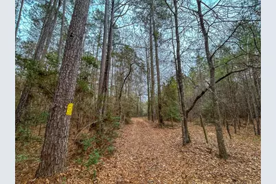 5259 Fm 946, Coldspring, TX 77331 - Photo 33