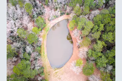 5259 Fm 946, Coldspring, TX 77331 - Photo 29