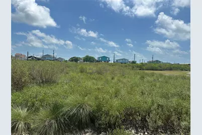 647 Flamingo Street, Sargent, TX 77414 - Photo 1