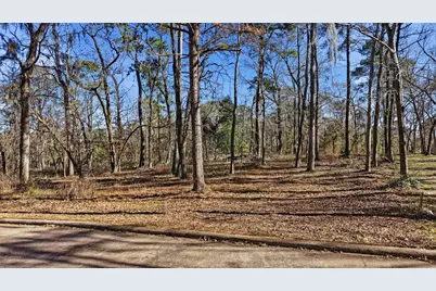 Lots 81, 82, & 83 Lake Oaks Circle, Coldspring, TX 77331 - Photo 7