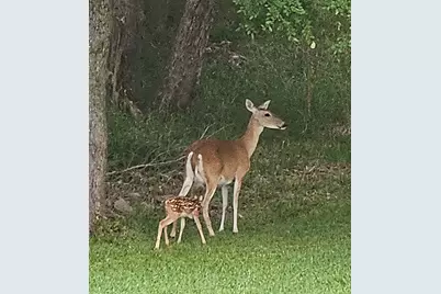 2701 Bluebonnet Boulevard, Brenham, TX 77833 - Photo 41