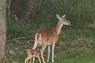 2701 Bluebonnet Blvd, Brenham, TX 77833 - Photo 41