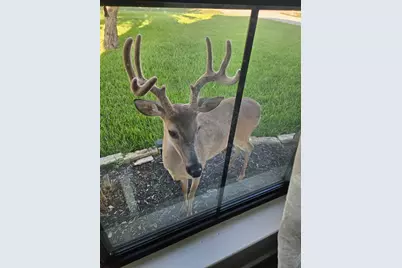 2701 Bluebonnet Boulevard, Brenham, TX 77833 - Photo 39