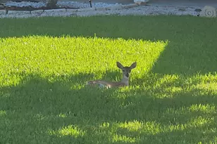 2701 Bluebonnet Blvd, Brenham, TX 77833 - Photo 43