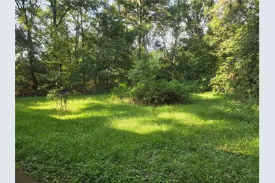 136 County Road 2312, Dayton, TX 77535 - Photo 13