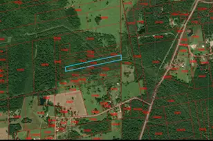 0 County Road 184, Liberty, TX 77575 - Photo 1