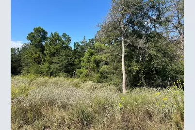 00 Cr 322, Jewett, TX 75846 - Photo 3