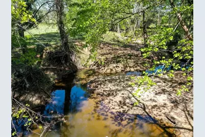 0 Black Jack Cemetery Road, Huntsville, TX 77340 - Photo 9