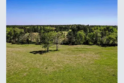 0 Black Jack Cemetery Road, Huntsville, TX 77340 - Photo 7