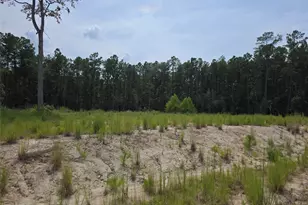 139 Rayburn Reserve Dr, Jasper, TX 75931 - Photo 1