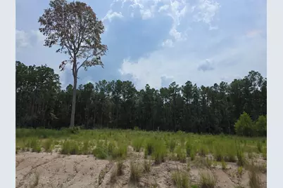 139 Rayburn Reserve Drive, Jasper, TX 75931 - Photo 3