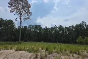 139 Rayburn Reserve Dr, Jasper, TX 75931 - Photo 3