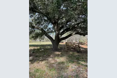 4761 Jackson Road, Montgomery, TX 77316 - Photo 7