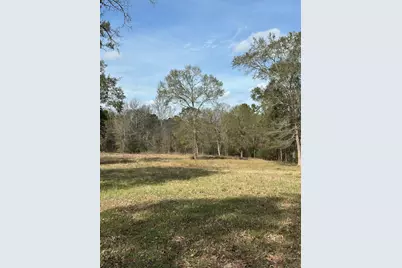 4761 Jackson Road, Montgomery, TX 77316 - Photo 13